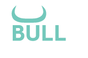 Bull Partners